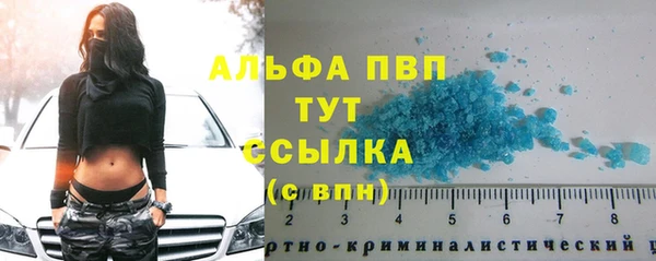 эйфоретик Осинники
