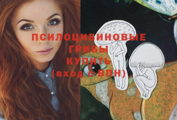 гидра Осташков